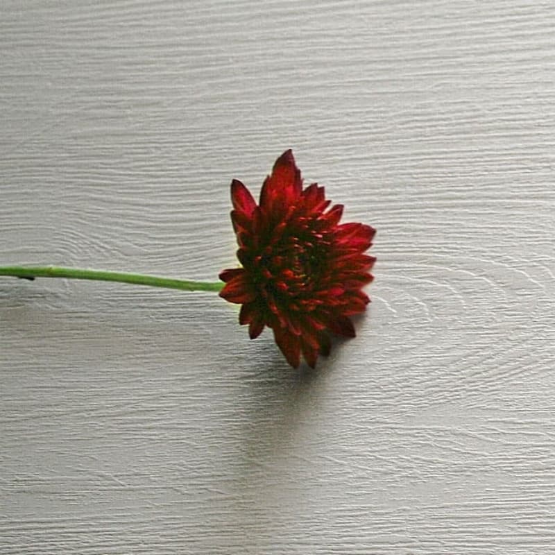 'ALNOOR' Mdf Tactile Series (2003)